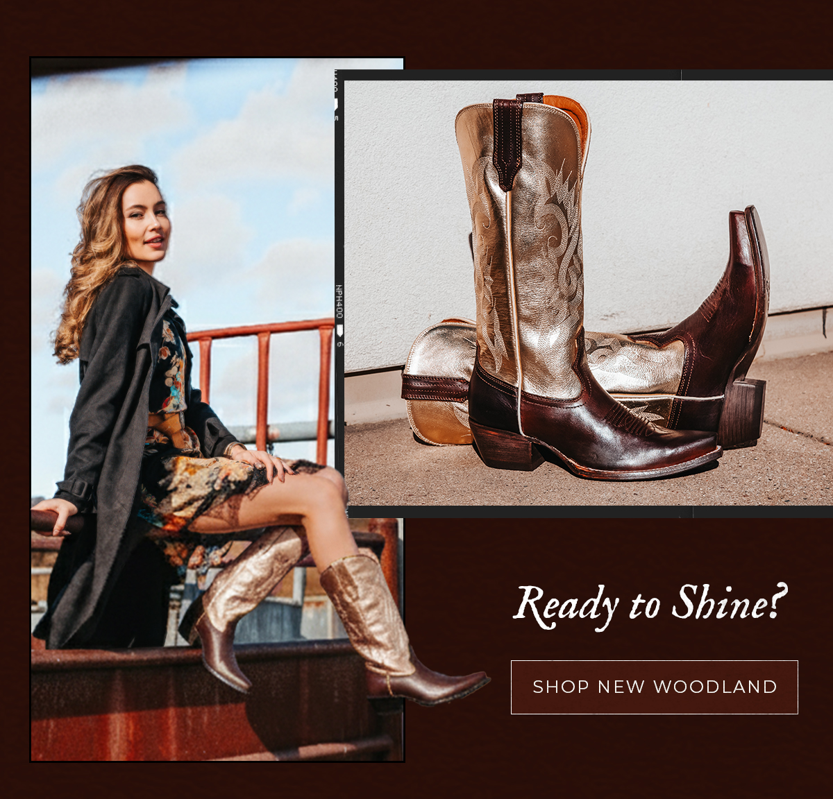 Shop New Woodland
