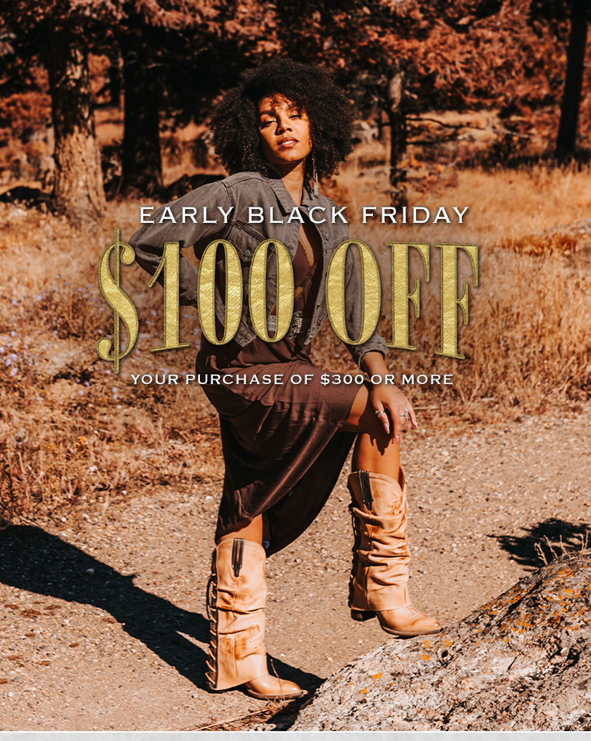 Early Black Friday $100 off Purchase of $300 or More