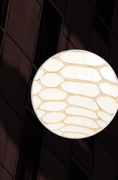 Detroit White Snake