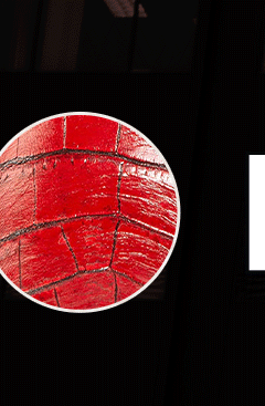 Detroit Red Croco