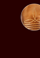 Woody Wheat