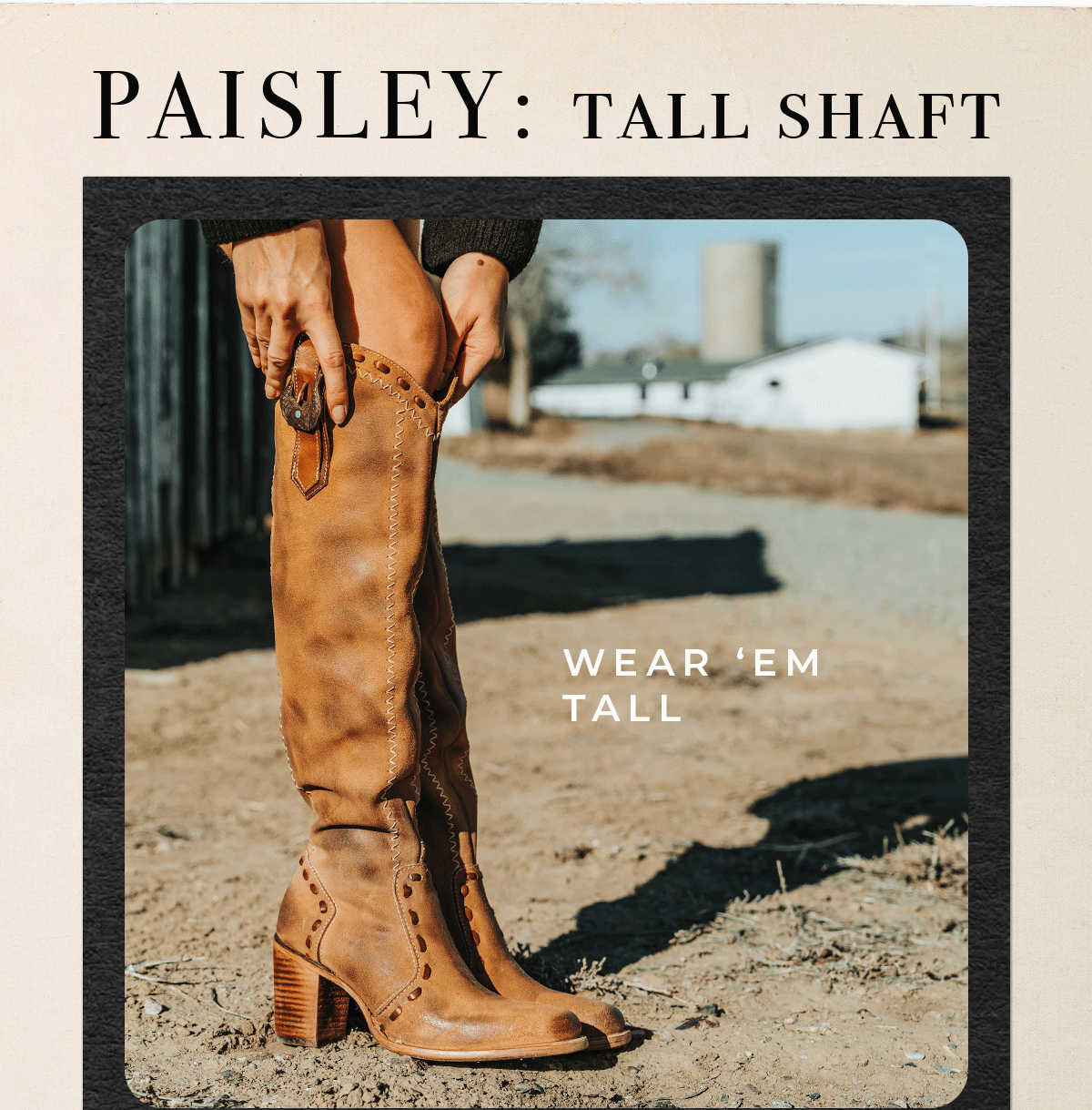 Paisley: Tall Shaft