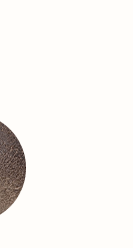 COAL Grey Suede