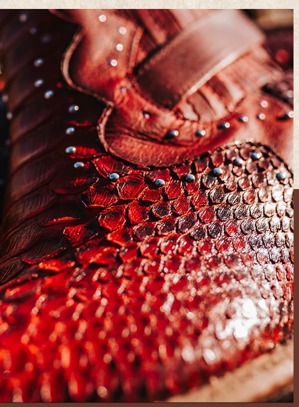 MORGAN Red Python