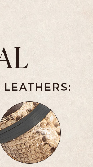 COAL Black Beige Python