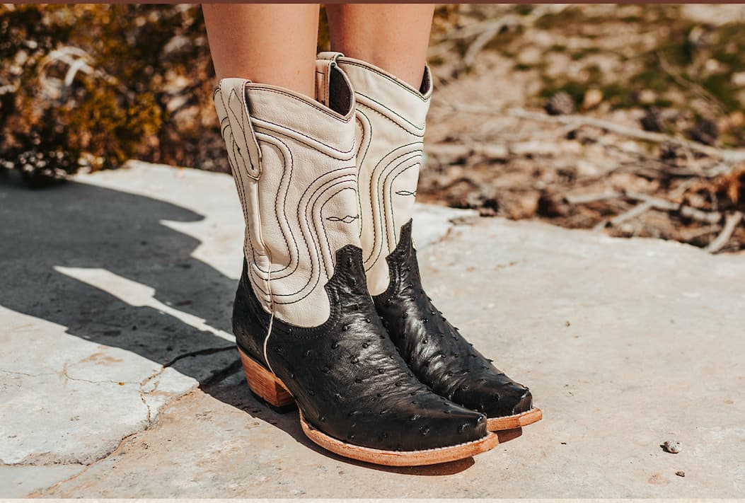 WARRICK Black Ostrich Multi