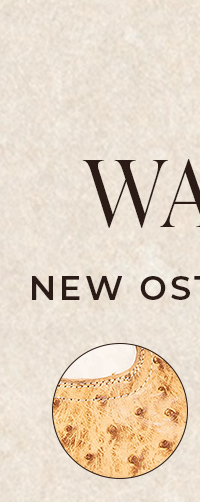 WARRICK Tan Ostrich Multi
