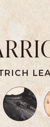 WARRICK Black Ostrich Multi