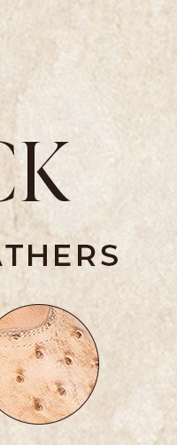 WARRICK Beige Ostrich Multi