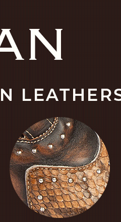 MORGAN Tan Python