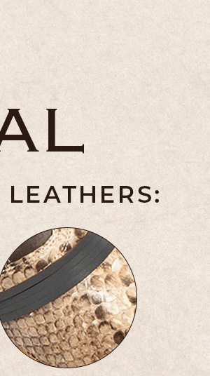COAL Black/Beige Python