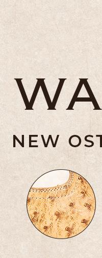WARRICK Tan Ostrich Multi