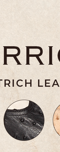 WARRICK Black Ostrich Multi