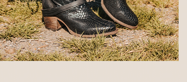 COAL Black Snake
