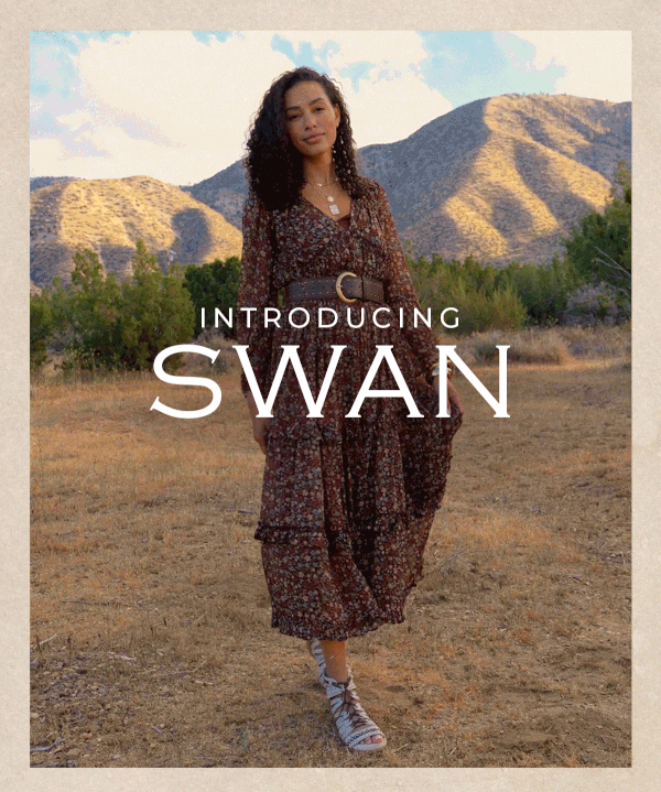 Introducing SWAN