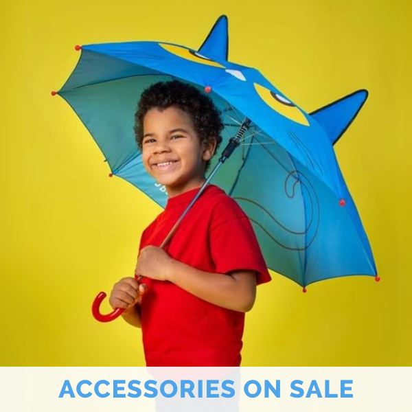 Accessories on Sale
