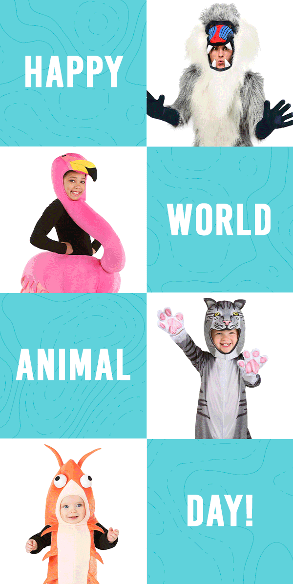Happy World Animal Day!