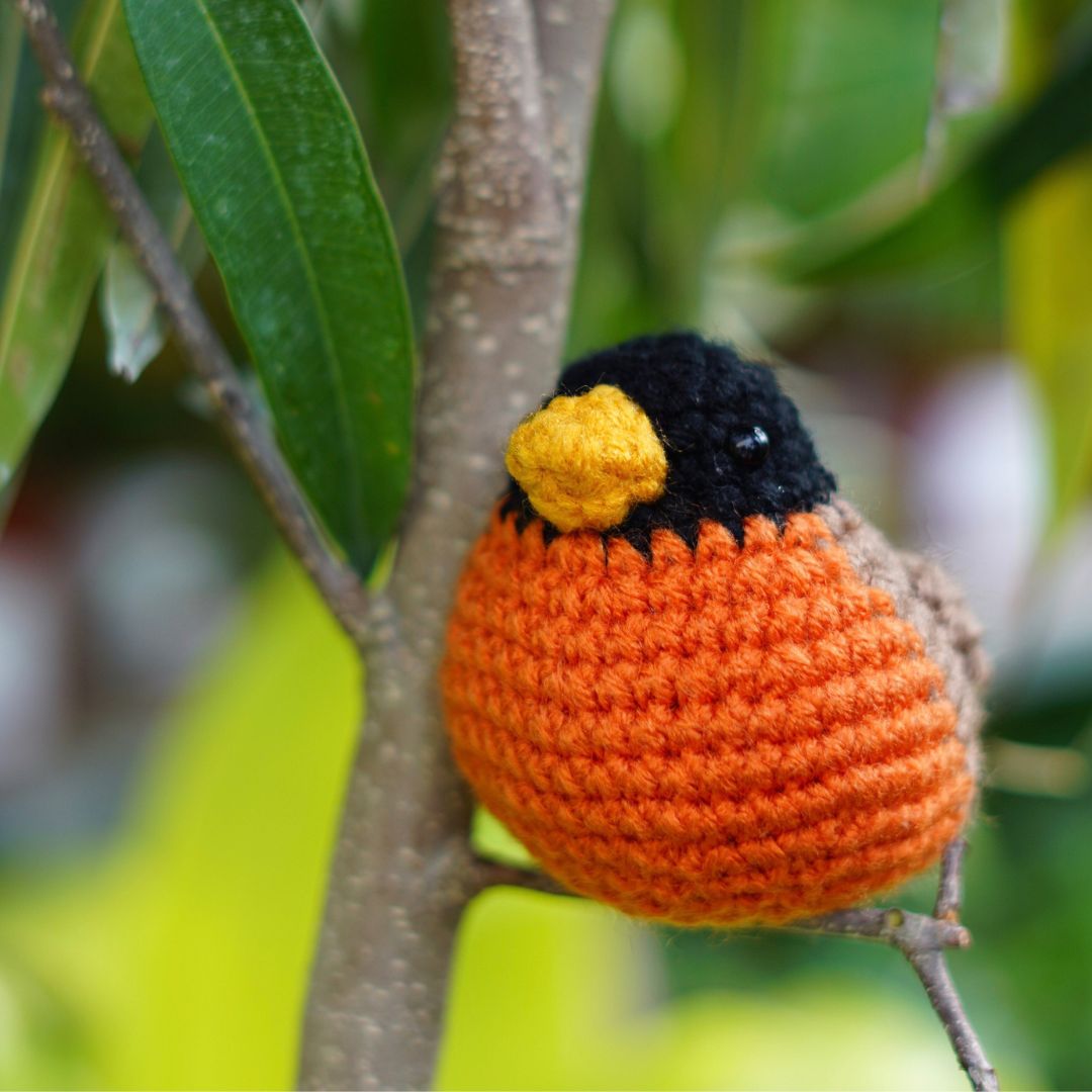 Free Crochet pattern: American Robin Amigurumi