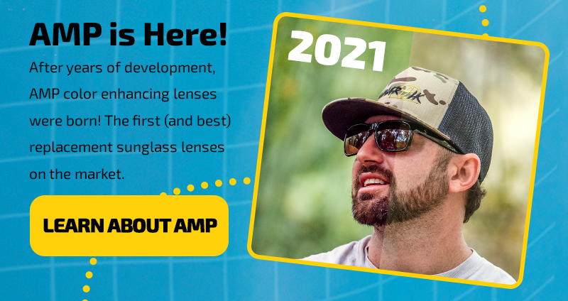 AMP is Here! 2021