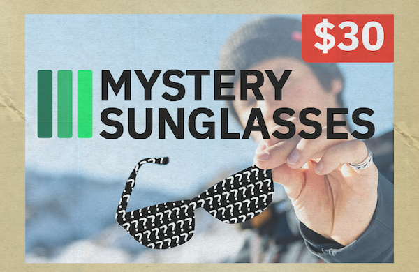 Mystery Sunglasses $30