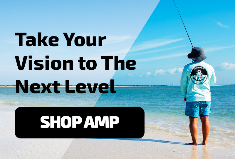 Take Your Vision to the Next Level SHOP AMP
