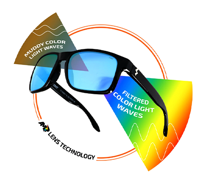 AMP Color Enhancing Infographic