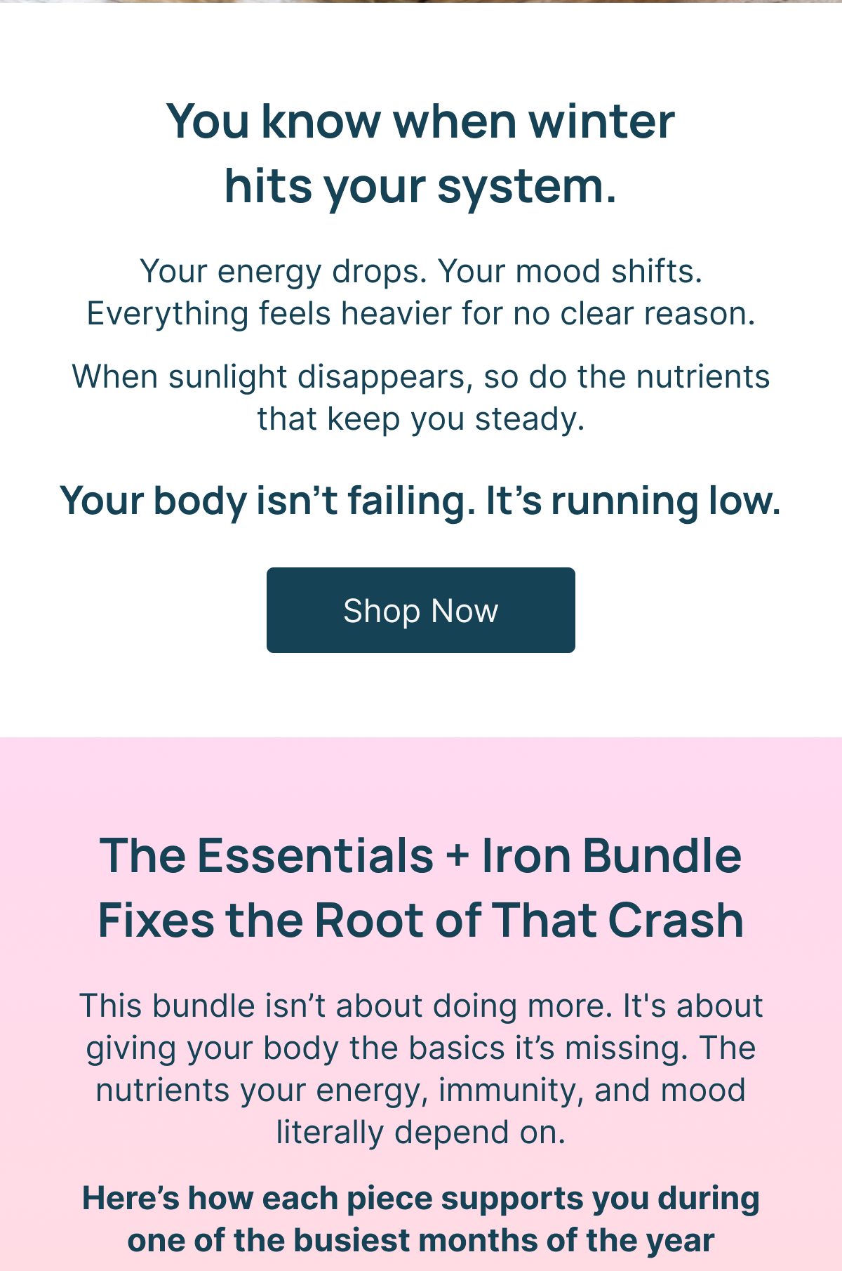 Shop Now