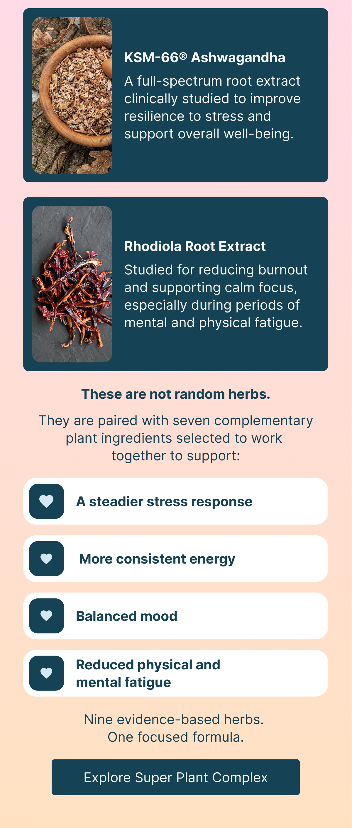 Ashwagandha and rhodiola