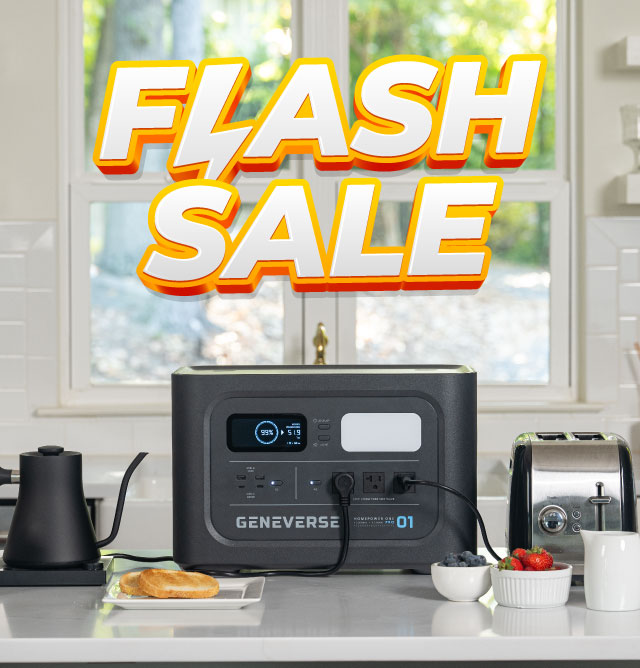 Don’t Miss Out – Limited-Time HP1 Flash Sale! 