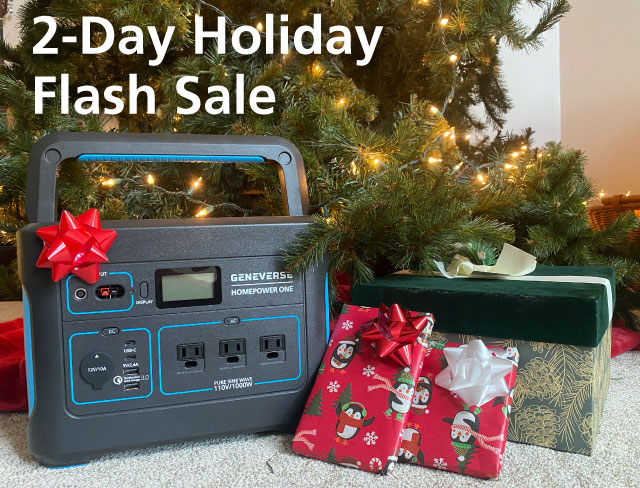 2-Day Holiday Flash Sale