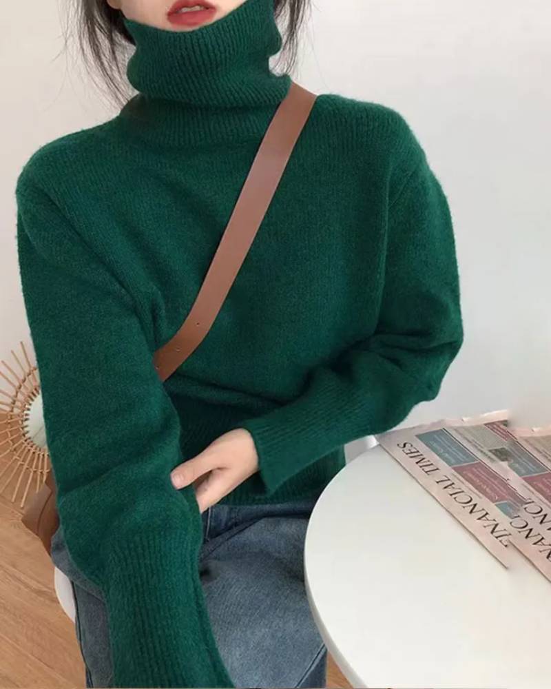 Image of Pullover Style Turtleneck Sweater
