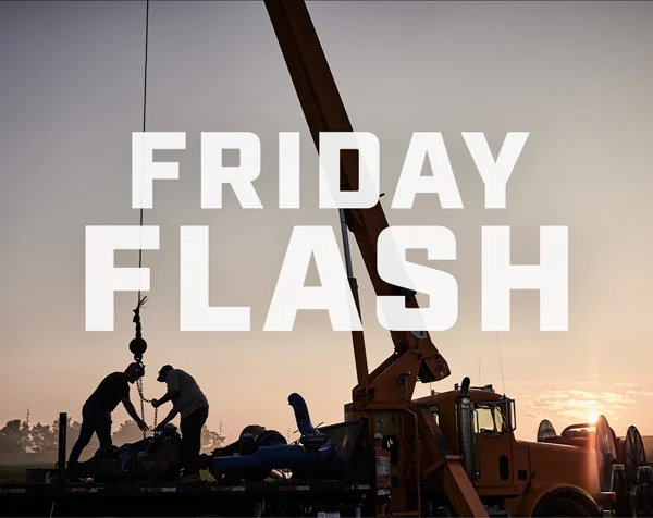 Friday Flash