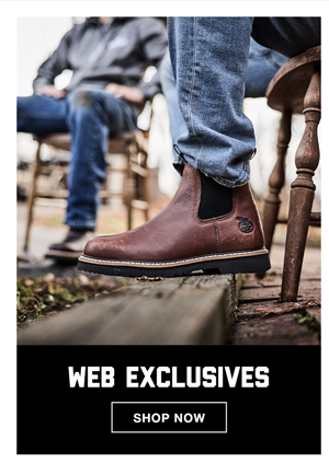 Save 20% on ALL Web Exclusives!