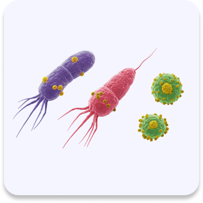 Bacteria buildup