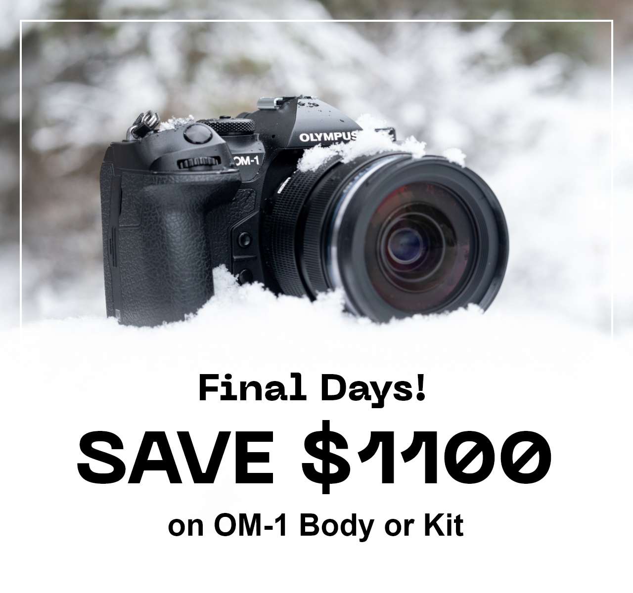 Save $1100