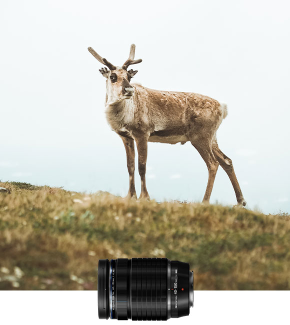 Lens