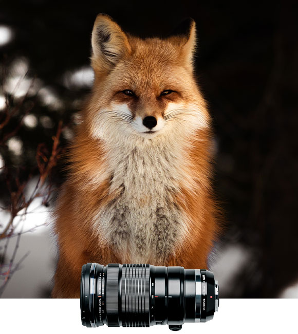 Lens
