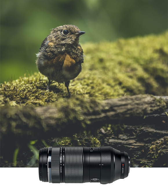 100-400mm