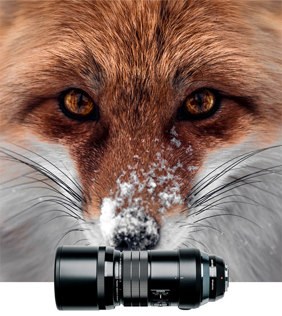 Lens