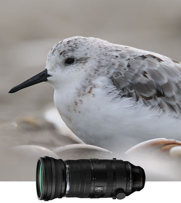 Lens