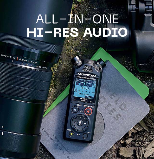 All-In-One Hi-Res Audio