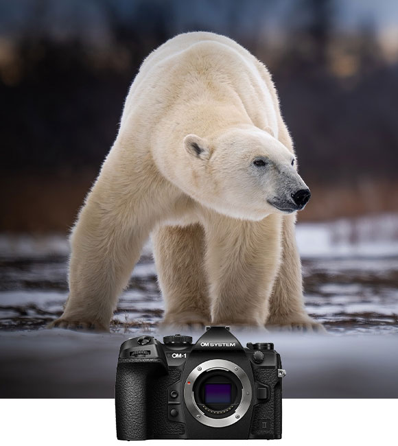 Lens