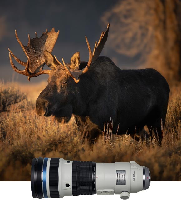 Lens