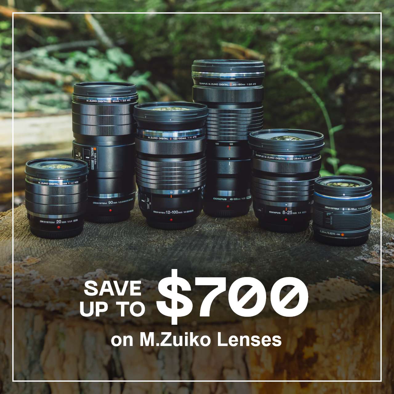 Lenses
