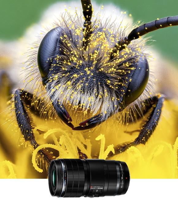 Lens