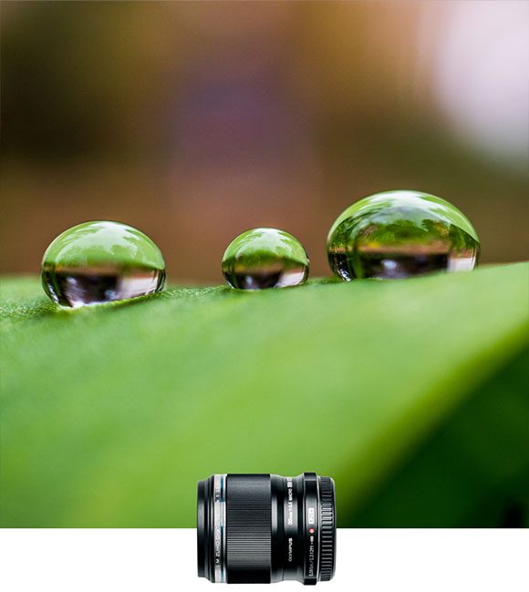 Lens
