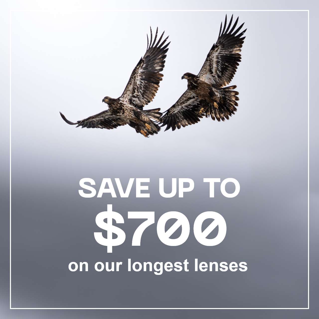 Save Up To $700 on Our Longest Lenses