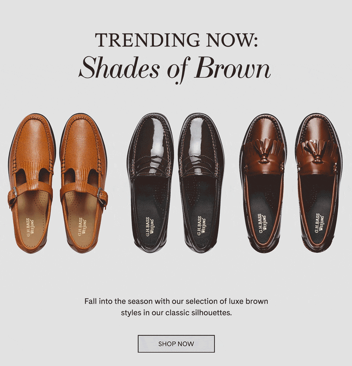 Shop now