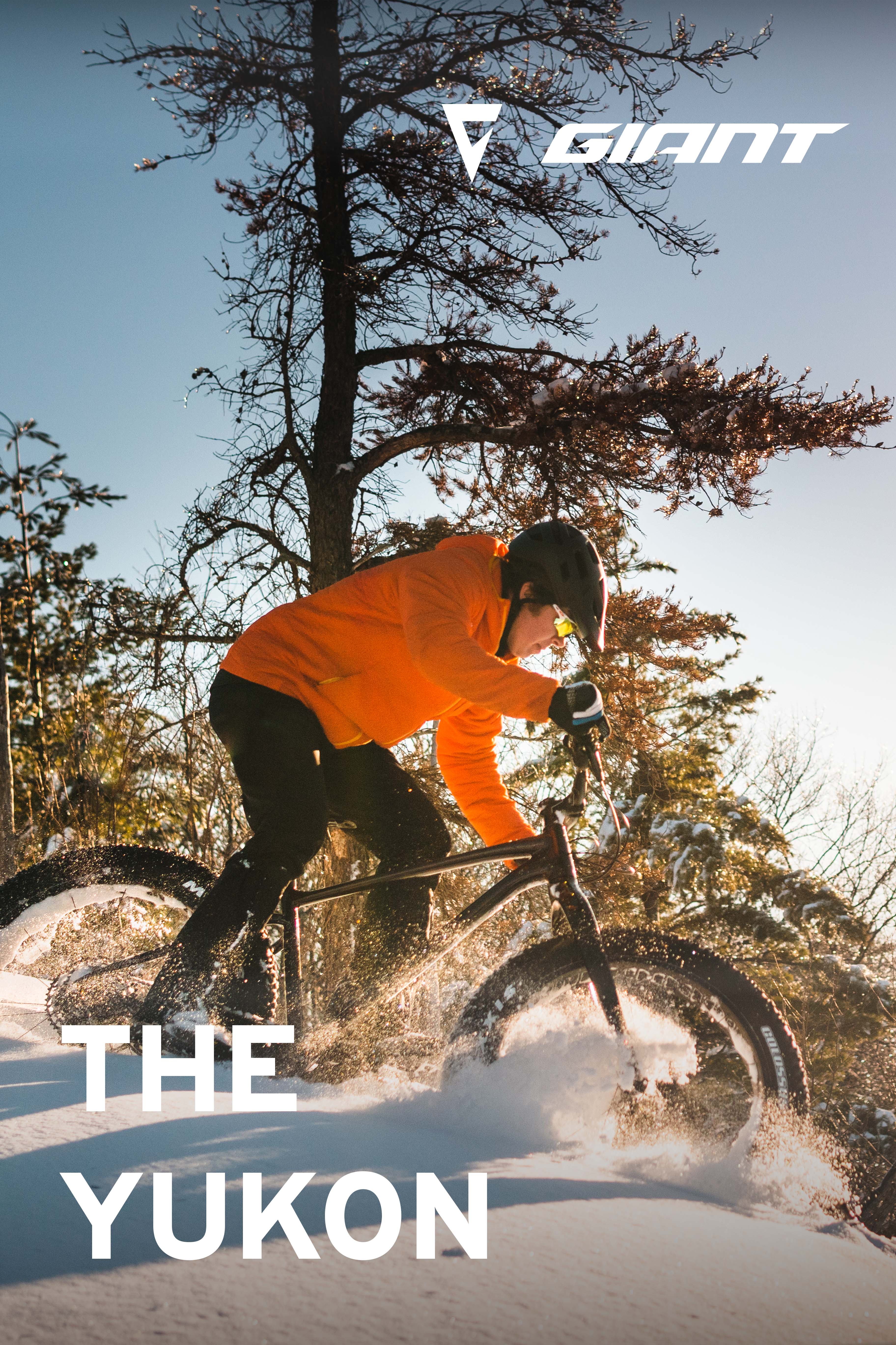 Defy Road Bike Animation