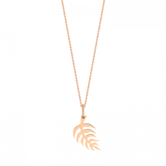 palm